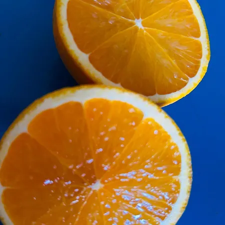 Détente En 4 étoiles Jusque 6 Personnes, Selon La Dispo Saint-Jean-de-Monts